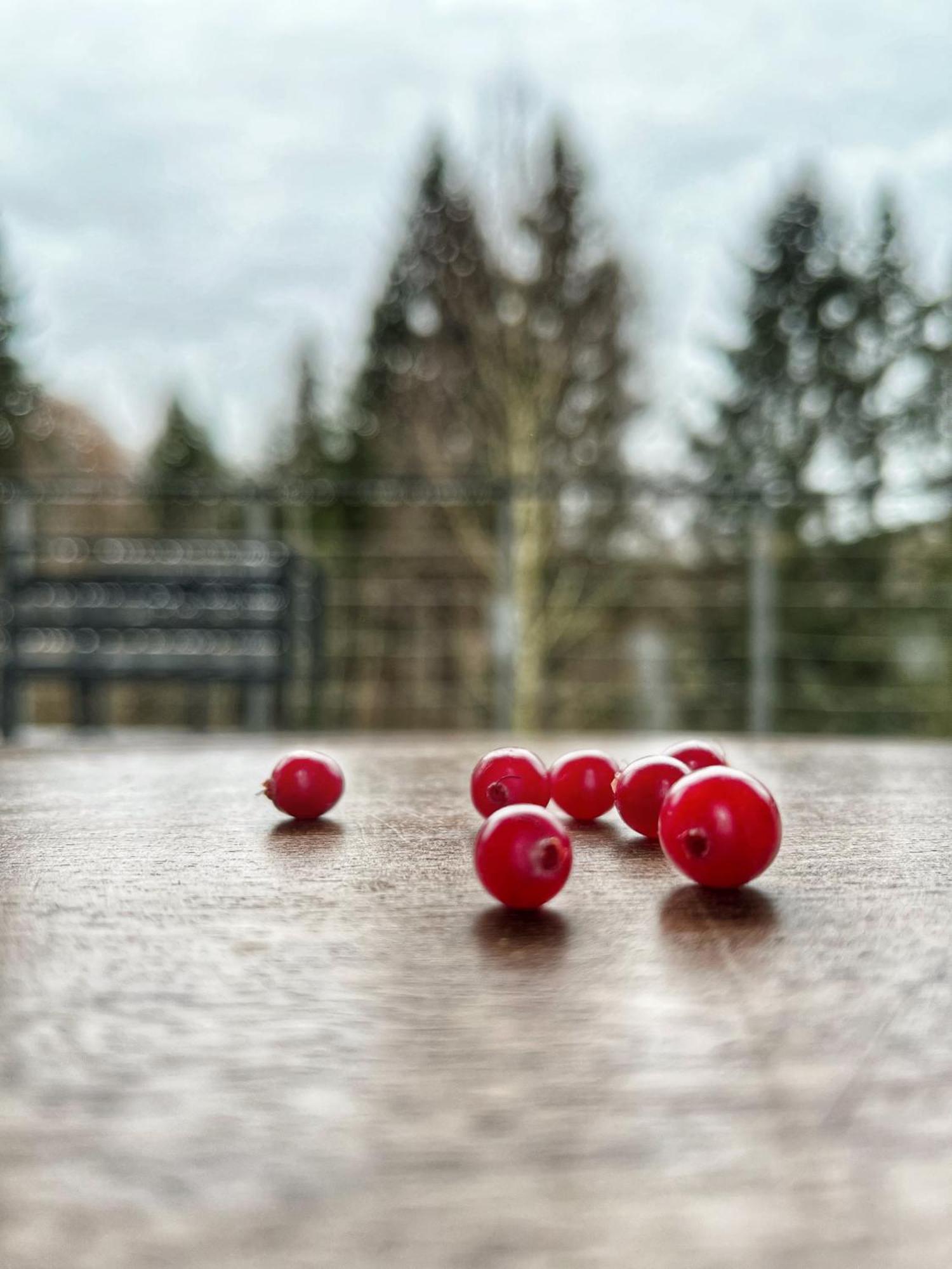 Rudle Villa Swierkocin  Bagian luar foto